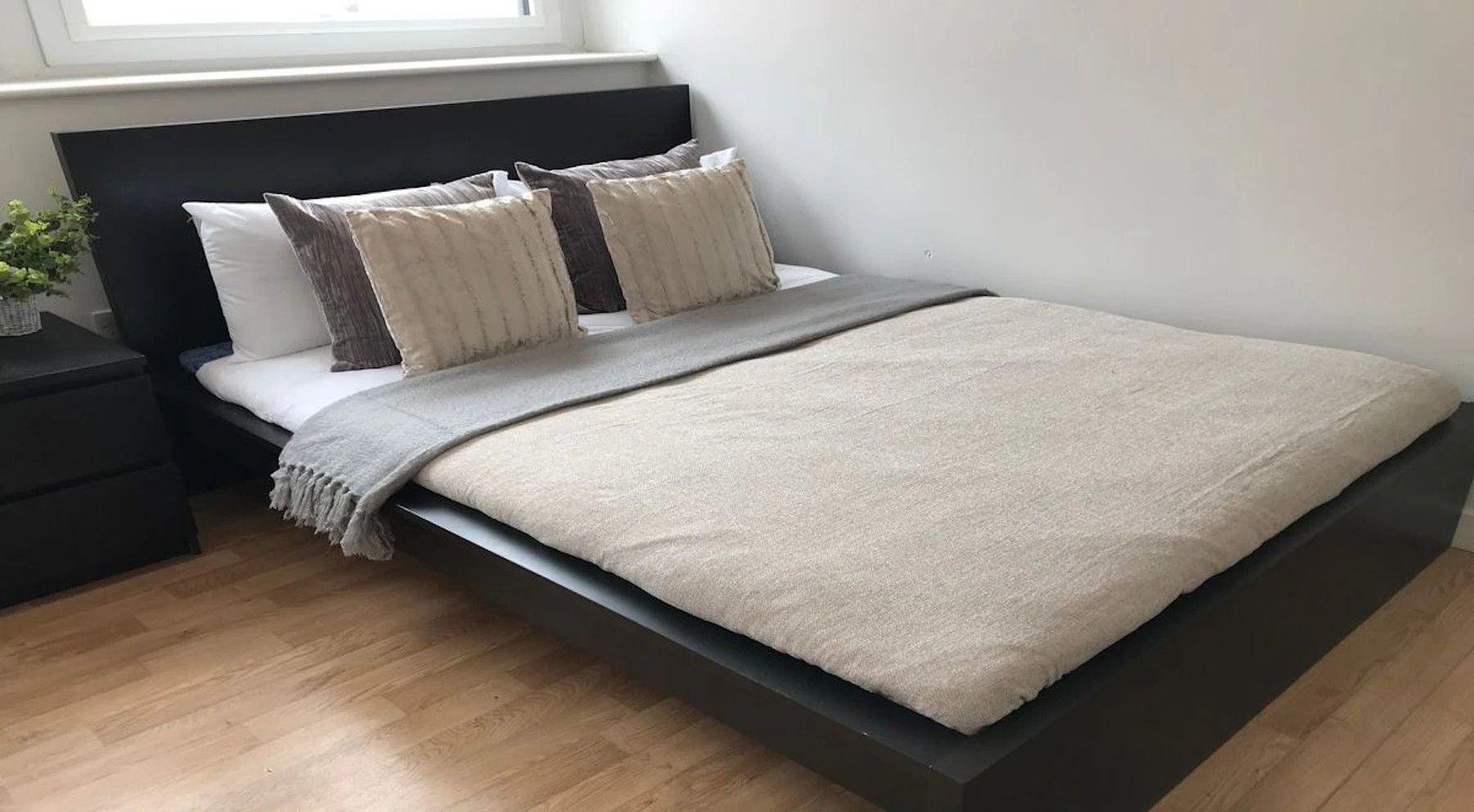 Lower Floor Deluxe Studio